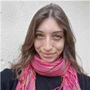 Offro supporto allo studio, ripetizioni e aiuto compiti a studenti delle scuole elementari, medie e superiori